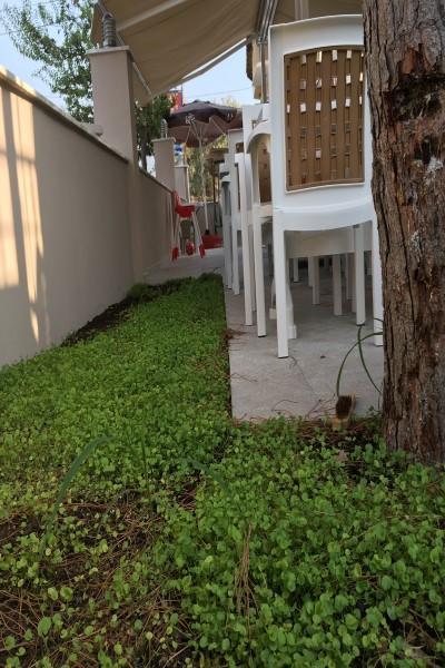 Vira Hotel Далян Екстериор снимка